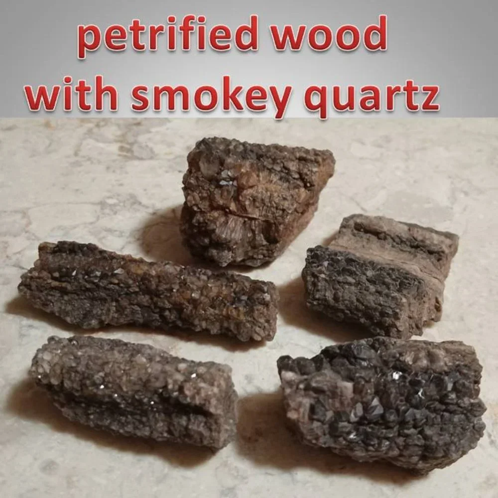 petrified wood covered in smokey \ smoky quartz stone rock fossil chunks - Picture 1 of 5